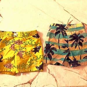 Shark + Palm tree Print Kids Swim Shorts
